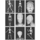 skeleton Skull Human Body XRAYS Collage sheet art Sticker (Voorkant)