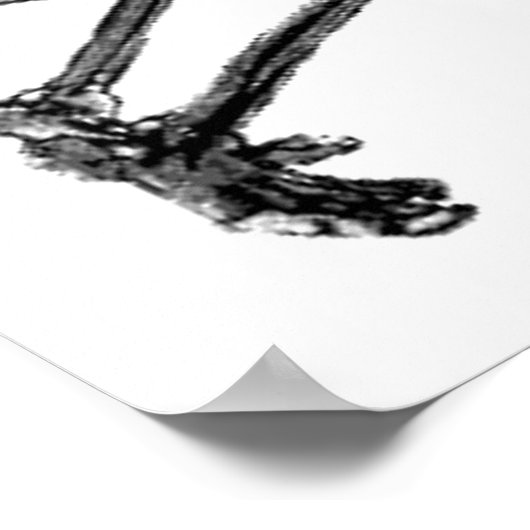 Skeleton spelen Piano Music Funny Poster (Hoek)