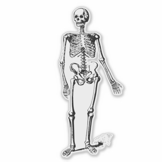 Skeleton Sticker (Voorkant)