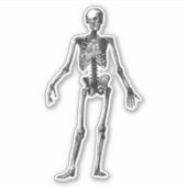 Skeleton Sticker (Voorkant)