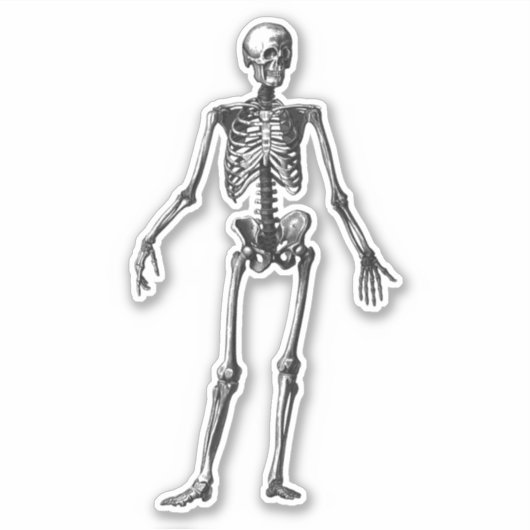 Skeleton Sticker (Voorkant)
