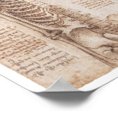 Skeleton Studies, Leonardo Da Vinci, 1510 Poster (Hoek)