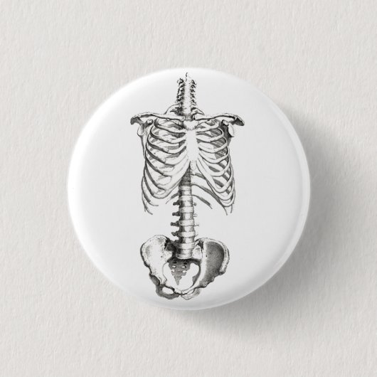 Skeleton Torso Anatomy Spooky-knoppen Ronde Button 3,2 Cm (Voorkant)