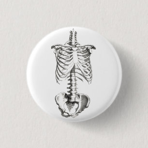 Skeleton Torso Anatomy Spooky-knoppen Ronde Button 3,2 Cm