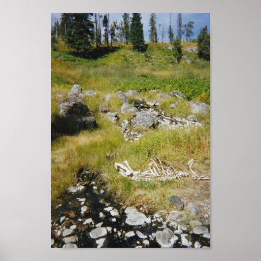 Skeleton van Elk Poster (Voorkant)