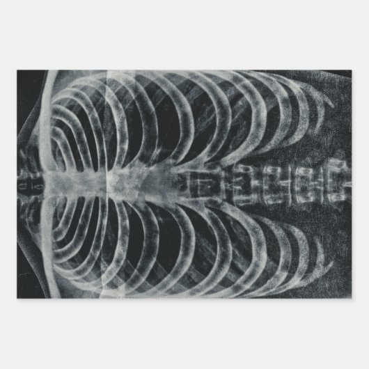 Skeleton Xray Rib kooi zwart wit gothisch Inpakpapier Vel (Voorkant 2)