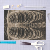 Skeleton Xray Rib Vintage Sepia Black Gothic Tissuepapier (Craft)