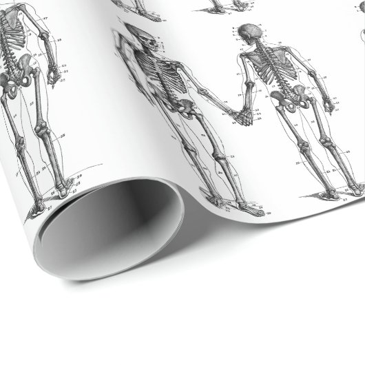Skeletons Diagram met Genummerde Botten Cadeaupapier (Rol Hoek)