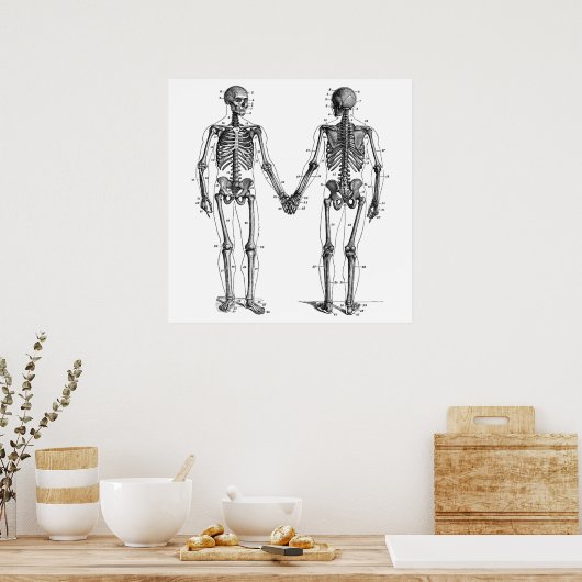 Skeletons Diagram met Genummerde Botten Poster (Keuken)