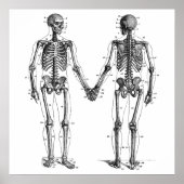 Skeletons Diagram met Genummerde Botten Poster (Voorkant)