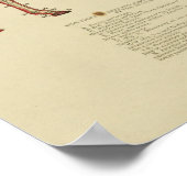  Skeletpaarden Anatomy Print 1902 (Hoek)