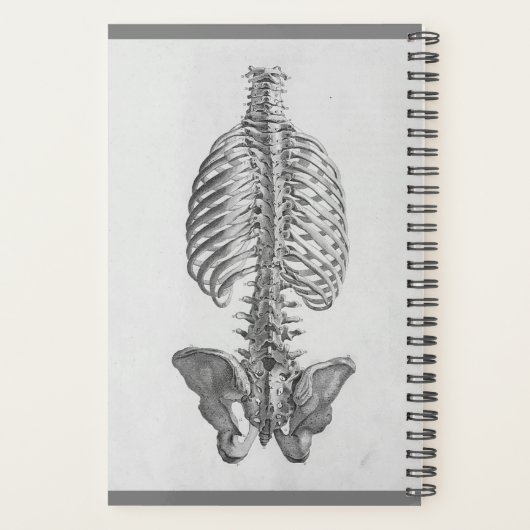 Skeletplanner Planner (Achterkant)