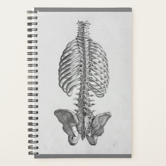 Skeletplanner Planner (Voorkant)