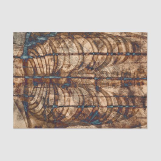 Skeletribbenkooi Beige bruine  röntgenfoto Tissuepapier (Voorkant)