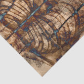 Skeletribbenkooi Beige bruine  röntgenfoto Tissuepapier (Detail)