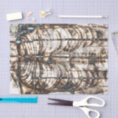  Skeletribbenkooi Bruin Witte röntgenfoto Tissuepapier (Craft)