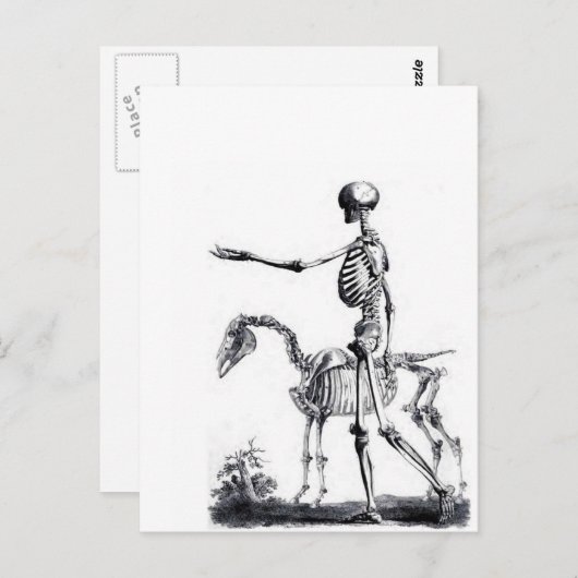 Skeletschedel Halloween Dag van de dode afdruk Briefkaart (Voorkant / Achterkant)