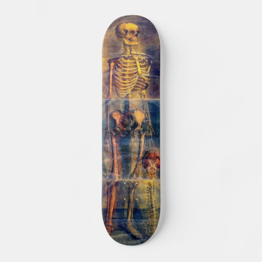 Skeletskateboard Skateboard (Voorkant)