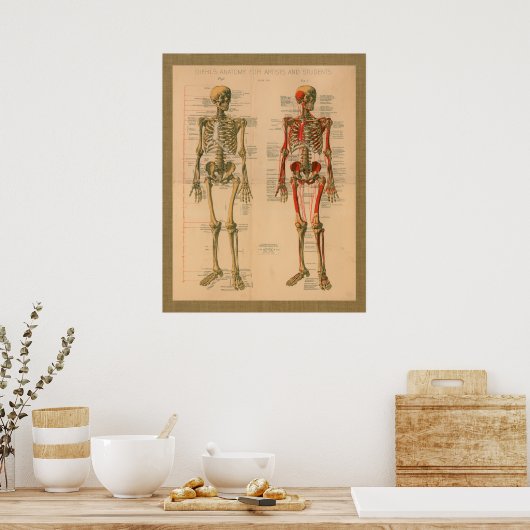 Skeletspier Aansluiting Anatomie Poster (Keuken)