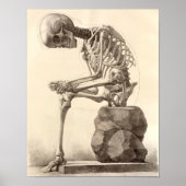  Skeletspier Poster Afdrukken (Voorkant)