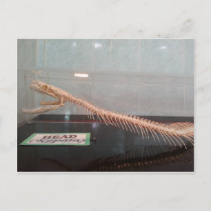 Skeletspieren Briefkaart