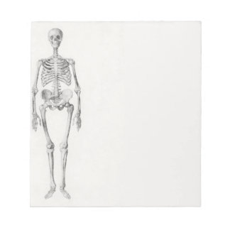 Skeletspieren Notitieblok