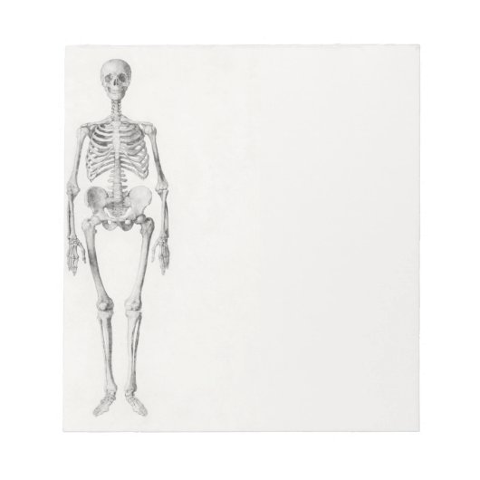 Skeletspieren Notitieblok (Voorkant)