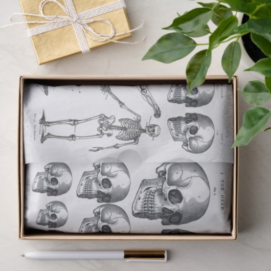 Skeletspieren Schilder in Botten Ontvlekken Verzam Tissuepapier (Geschenk)