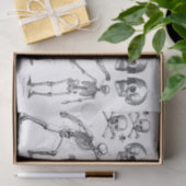 Skeletspieren Schilder in Botten Ontvlekken Verzam Tissuepapier (Geschenk)