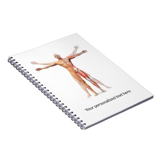 Skeletspieren voor medisch menselijk gebruik - Not Notitieboek (Rechterzijde)