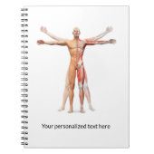 Skeletspieren voor medisch menselijk gebruik - Not Notitieboek (Voorkant)