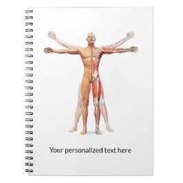 Skeletspieren voor medisch menselijk gebruik - Not Notitieboek