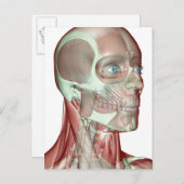 Skeletspierstelsel- en bindweefselaandoeningen briefkaart (Voorkant / Achterkant)