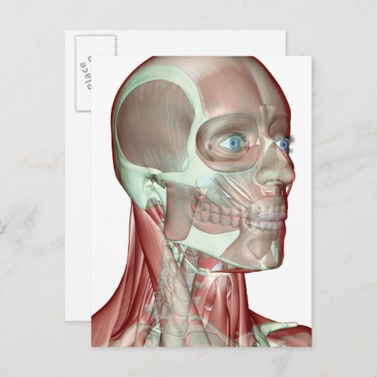 Skeletspierstelsel- en bindweefselaandoeningen briefkaart (Voorkant / Achterkant)