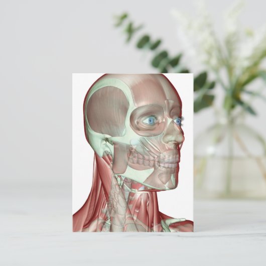 Skeletspierstelsel- en bindweefselaandoeningen briefkaart (Staand voorkant)