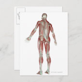 Skeletspierstelsel- en bindweefselaandoeningen briefkaart (Voorkant / Achterkant)
