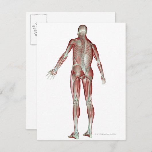 Skeletspierstelsel- en bindweefselaandoeningen briefkaart (Voorkant / Achterkant)