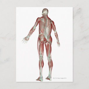 Skeletspierstelsel- en bindweefselaandoeningen briefkaart