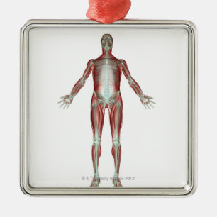 Skeletspierstelsel- en bindweefselaandoeningen metalen ornament