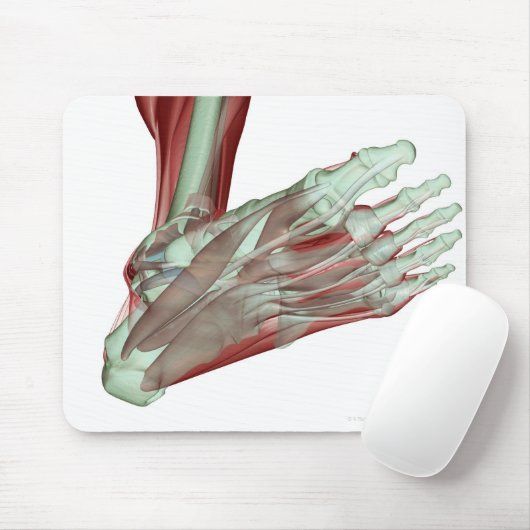 Skeletspierstelsel- en bindweefselaandoeningen muismat (Met muis)