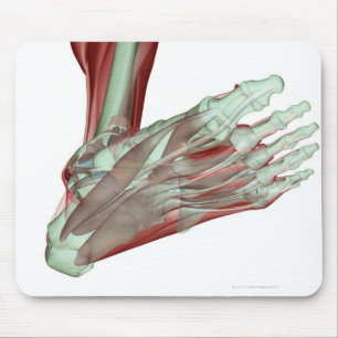 Skeletspierstelsel- en bindweefselaandoeningen muismat