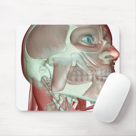 Skeletspierstelsel- en bindweefselaandoeningen muismat (Met muis)