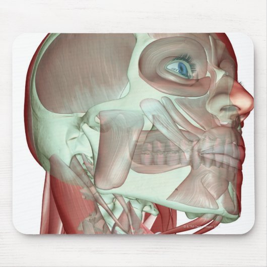 Skeletspierstelsel- en bindweefselaandoeningen muismat (Voorkant)