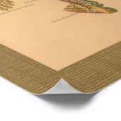 Skeletspierstelsel- en bindweefselaandoeningen poster (Hoek)