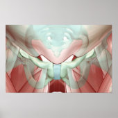 Skeletspierstelsel- en bindweefselaandoeningen poster (Voorkant)