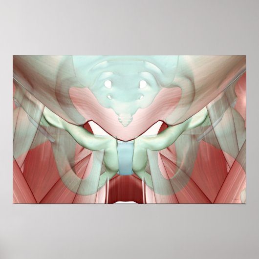 Skeletspierstelsel- en bindweefselaandoeningen poster (Voorkant)