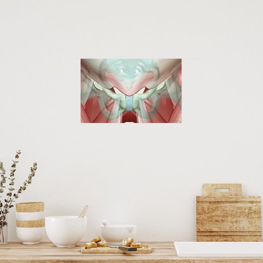 Skeletspierstelsel- en bindweefselaandoeningen poster (Keuken)