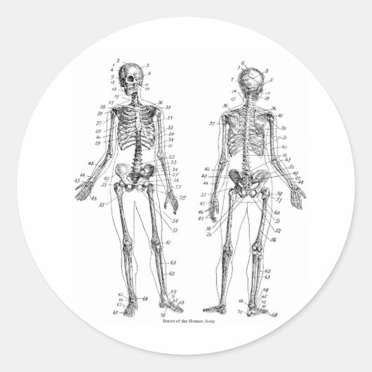 SkeletStickers Ronde Sticker (Voorkant)