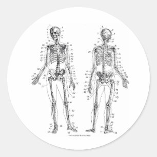 SkeletStickers Ronde Sticker