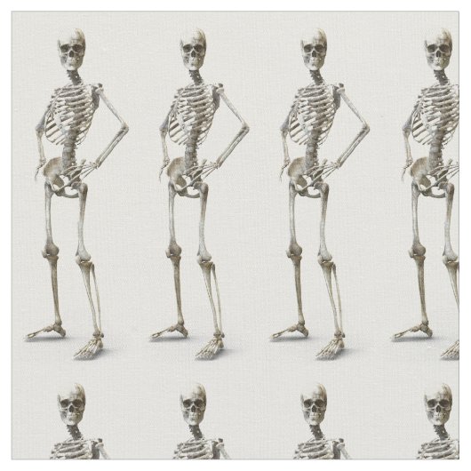 skeletstof stof (Close Up)